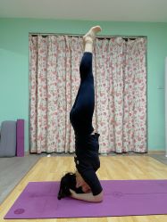 -齐伽生活馆·瑜伽·普拉提·阿育吠陀