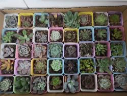 -美妆吧私人订制·化妆美甲美睫半永久