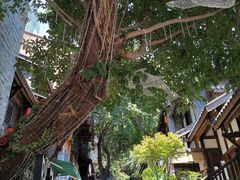 -重庆十八梯传统风貌区