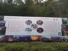 -方岩风景区