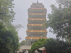 -鹅岭公园瞰胜楼