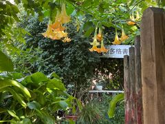 -斯多格书乡(北京大学畅春园店)