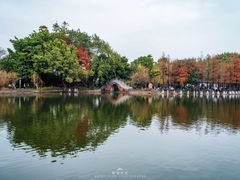 -东莞市可园博物馆