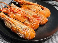 -济南凯宾斯基酒店-THE VIEW云景全日制餐厅