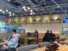-翡翠拉面小笼包Crystal Jade(上海浦东国际机场T1店)