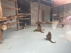 -太原动物园