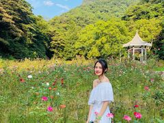 -广州市石门国家森林公园