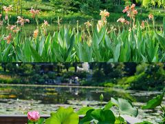 -云溪植物园