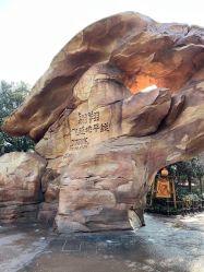 -翱翔飞越地平线