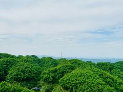 -沐川竹海旅游景区