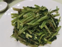 清炒金丝菜-高佳庄·舟山海鲜(海景旗舰店)