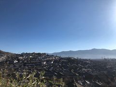 -内涵饵块