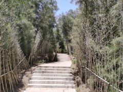 -阿弟特色海鲜餐厅·大排档(平潭店)