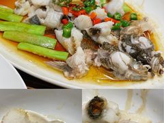 鲜花椒蒸桂花鲈-猪肉婆私房菜(容桂总店)