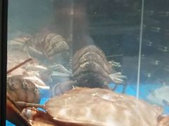 -大润发(东关世茂店)