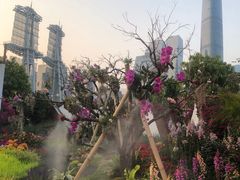 -海心沙亚运公园