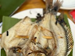 -杨合林啊兰烤鱼