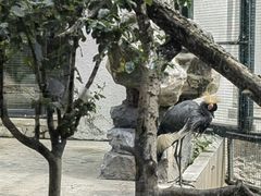 -天津市动物园