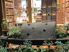 -猫的天空之城概念书店(杭州南宋御街店)