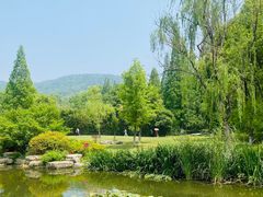 -习家池
