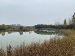 -合肥野生动物园