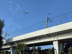 -宝安西湾红树林湿地公园