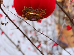 -福院