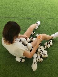 -萌宠亲子动物乐园(槐房万达店)