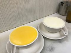 -澳洲牛奶公司(佐敦店)