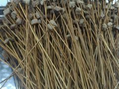 牛肉-嘉州叶婆婆钵钵鸡(建设路店)