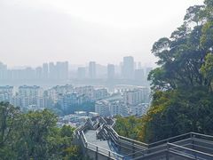 -福道