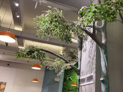 -菌乡缘·野生菌蒸汽鱼火锅(江边夜市店)