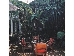 大堂-Fern Forest Cafe