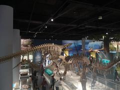 -国家自然博物馆