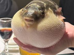 -永安鱼庄·镇江菜(东吴路店)