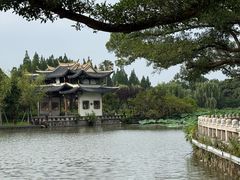 -江心屿景区