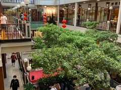 -广州酒家(文昌总店)