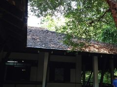 -武吉知马自然保护区