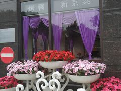 -桐爷小馆(广渠门店)