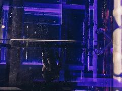 -重庆解放碑威斯汀酒店