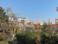 -青枫公园