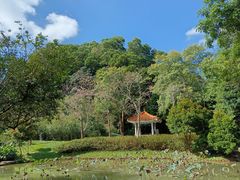 -火炉山森林公园