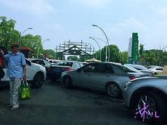 -荷塘月色湿地公园·向阳花洲