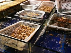 -嘉定凯悦·咖啡厅