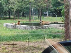 -秦皇岛野生动物园
