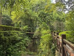 -素山寺森林公园