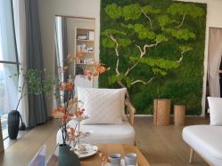 -POCO宝珂丽科技美肤