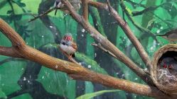 -Zoolung Zoolung动物主题公园(海信广场店)