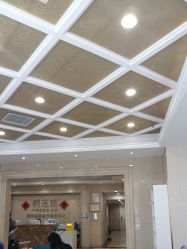 -碧莲盛·不剃发植发