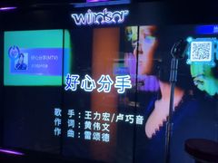 -温莎KTV(珠江路店)